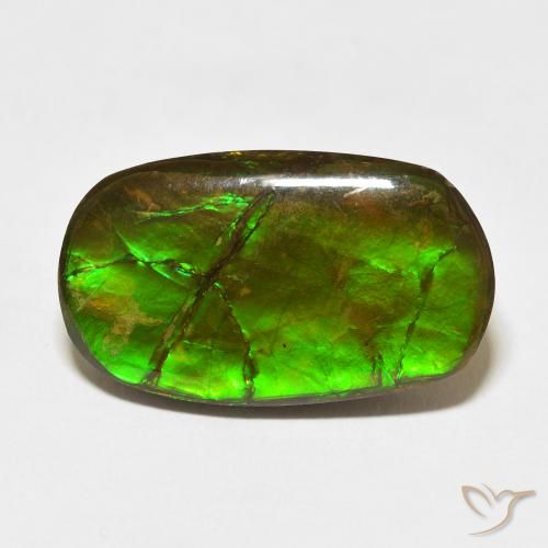 18.47ct Naturel Multicolore Ammolite, Fantaisie, Opaque