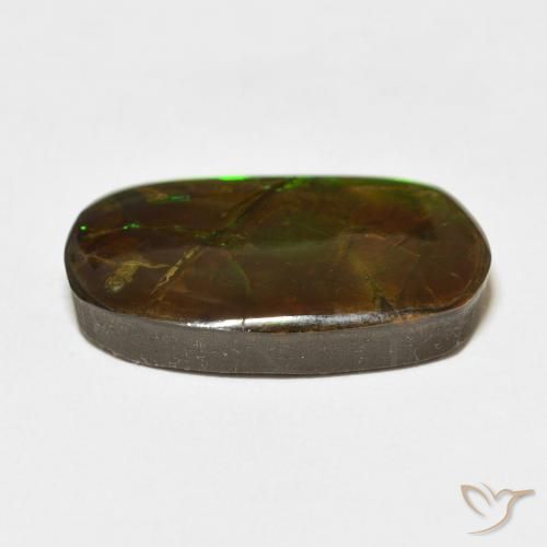 Ammolite Multicolore naturelle Fantaisie, 18.47 ct, Opaque