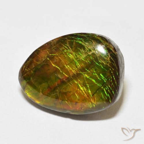 Ammolite Multicolore naturelle Fantaisie, 12.20 ct, Opaque