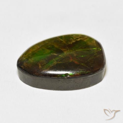 Ammolite Multicolore naturelle Fantaisie, 12.20 ct, Opaque