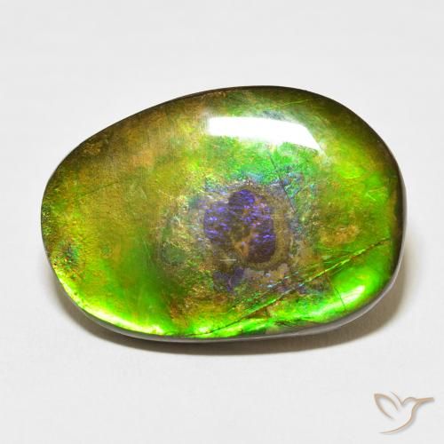 21.49ct Naturel Multicolore Ammolite, Fantaisie, Opaque