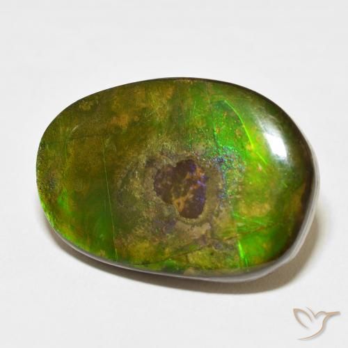 Ammolite Multicolore naturelle Fantaisie, 21.49 ct, Opaque