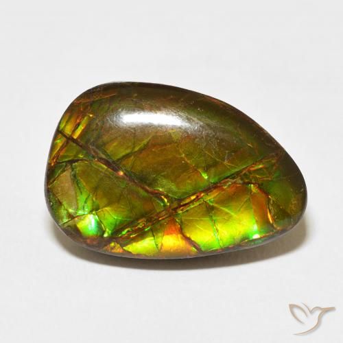 11.07ct Naturel Multicolore Ammolite, Fantaisie, Opaque