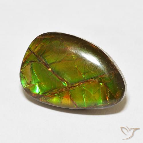 Ammolite Multicolore naturelle Fantaisie, 11.07 ct, Opaque