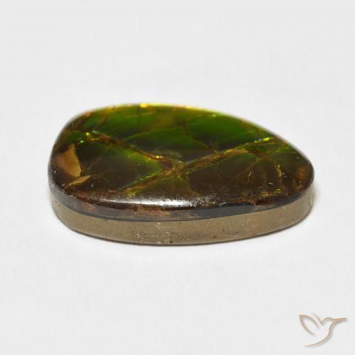 Ammolite Multicolore naturelle Fantaisie, 11.07 ct, Opaque