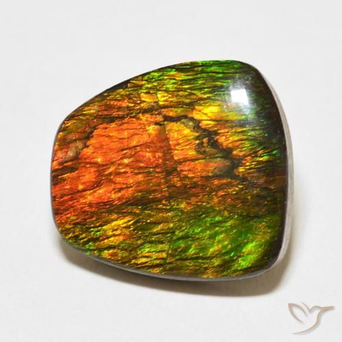 Ammolite Multicolore naturelle Fantaisie, 11.47 ct, Opaque