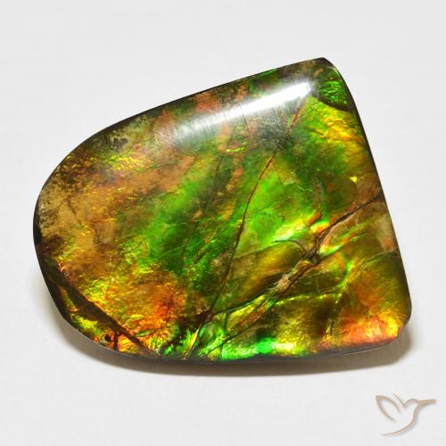 20.38ct Naturel Multicolore Ammolite, Fantaisie, Opaque