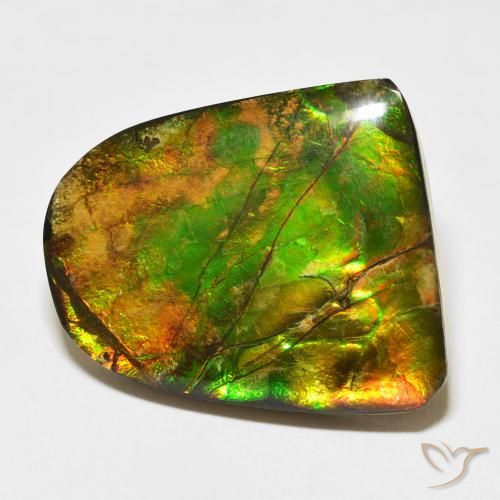Ammolite Multicolore naturelle Fantaisie, 20.38 ct, Opaque