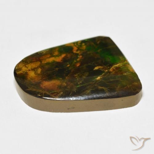 Ammolite Multicolore naturelle Fantaisie, 20.38 ct, Opaque
