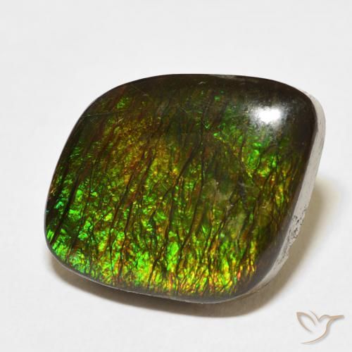 Ammolite Multicolore naturelle Fantaisie, 10.62 ct, Opaque