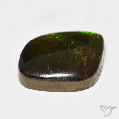 Ammolite Multicolore naturelle Fantaisie, 10.62 ct, Opaque