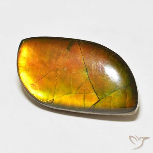 Ammolite Multicolore naturelle Fantaisie, 14.45 ct, Opaque