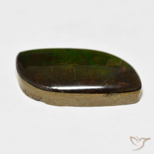 Ammolite Multicolore naturelle Fantaisie, 14.45 ct, Opaque