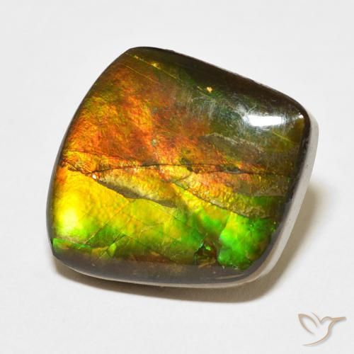 Ammolite Multicolore naturelle Fantaisie, 13.63 ct, Opaque