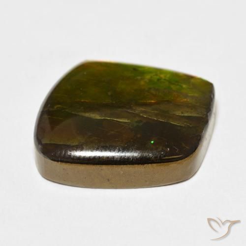 Ammolite Multicolore naturelle Fantaisie, 13.63 ct, Opaque