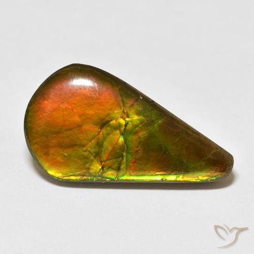16.88ct Naturel Multicolore Ammolite, En forme de poire, Opaque