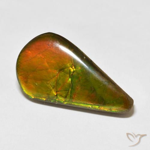Ammolite Multicolore naturelle En forme de poire, 16.88 ct, Opaque