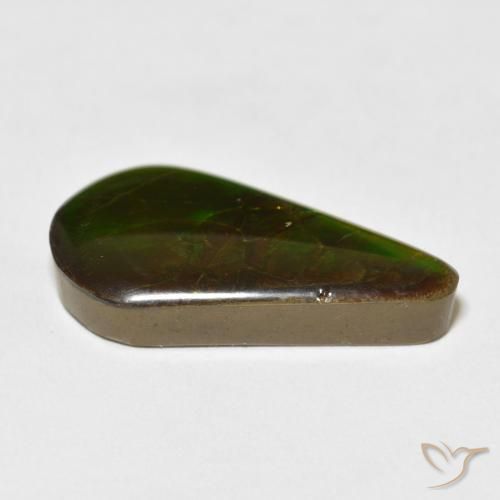 Ammolite Multicolore naturelle En forme de poire, 16.88 ct, Opaque