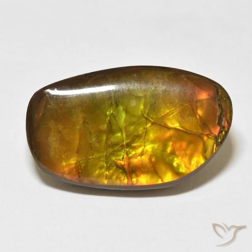 17.48ct Naturel Multicolore Ammolite, Fantaisie, Opaque
