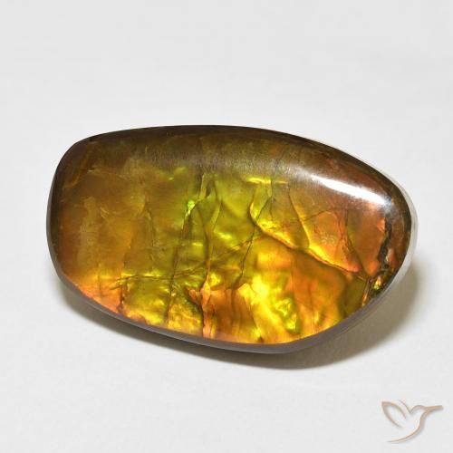 Ammolite Multicolore naturelle Fantaisie, 17.48 ct, Opaque
