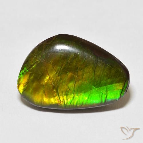 13.79ct Naturel Multicolore Ammolite, Fantaisie, Opaque