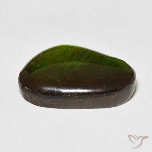 Ammolite Multicolore naturelle Fantaisie, 13.79 ct, Opaque
