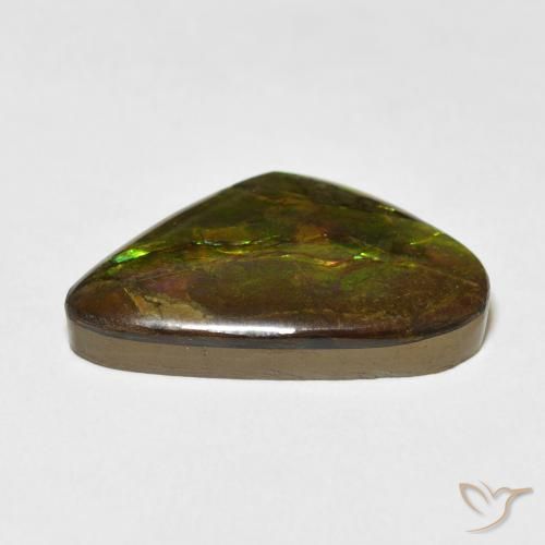 Ammolite Multicolore naturelle Fantaisie, 13.60 ct, Opaque