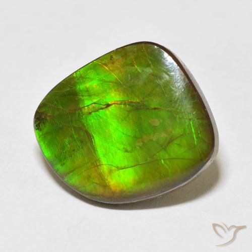 Ammolite Multicolore naturelle Fantaisie, 10.95 ct, Opaque
