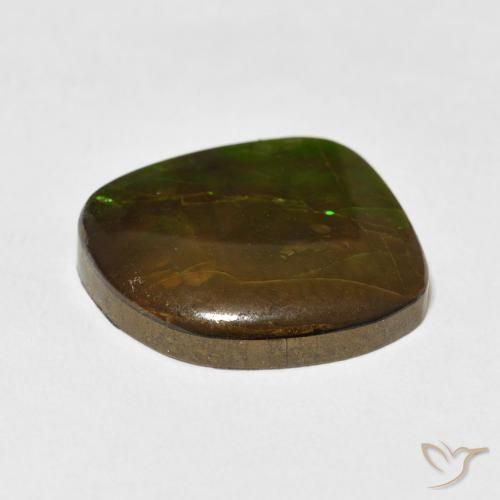 Ammolite Multicolore naturelle Fantaisie, 10.95 ct, Opaque