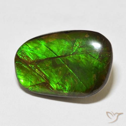 Ammolite Multicolore naturelle Fantaisie, 13.96 ct, Opaque