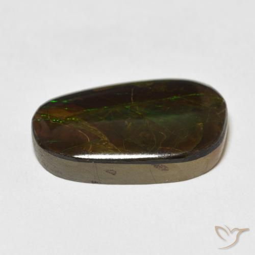 Ammolite Multicolore naturelle Fantaisie, 13.96 ct, Opaque