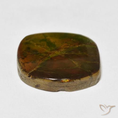 Ammolite Multicolore naturelle Fantaisie, 15.37 ct, Opaque