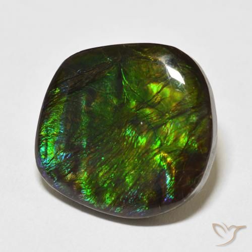 Ammolite Multicolore naturelle Fantaisie, 17.53 ct, Opaque
