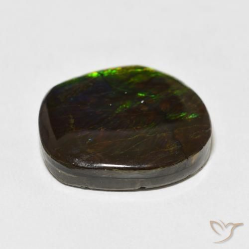 Ammolite Multicolore naturelle Fantaisie, 17.53 ct, Opaque