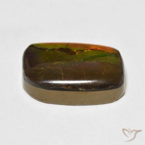 Ammolite Multicolore naturelle Fantaisie, 13.68 ct, Opaque