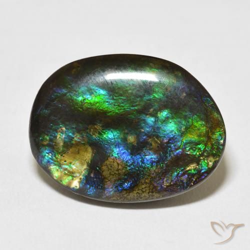 15.59ct Naturel Multicolore Ammolite, Fantaisie, Opaque