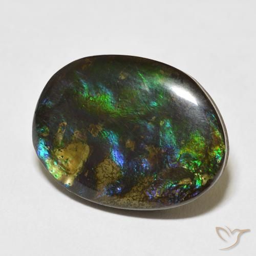 Ammolite Multicolore naturelle Fantaisie, 15.59 ct, Opaque