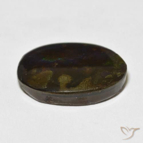 Ammolite Multicolore naturelle Fantaisie, 15.59 ct, Opaque