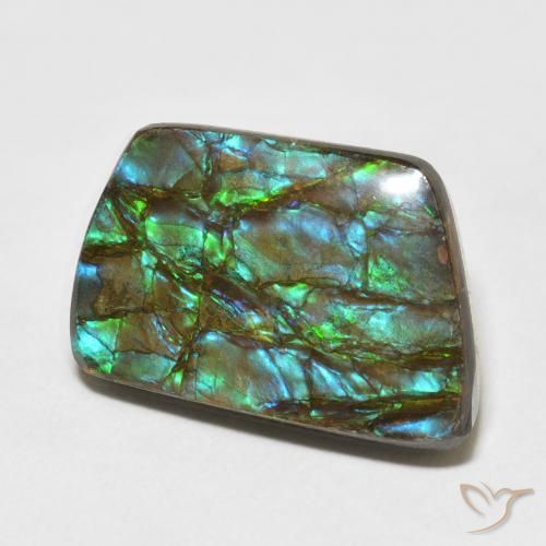 Ammolite Multicolore naturelle Fantaisie, 13.92 ct, Opaque