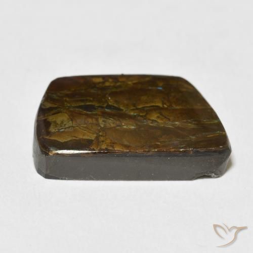 Ammolite Multicolore naturelle Fantaisie, 13.92 ct, Opaque
