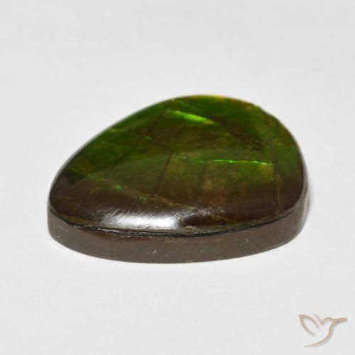 Ammolite Multicolore naturelle Fantaisie, 13.55 ct, Opaque