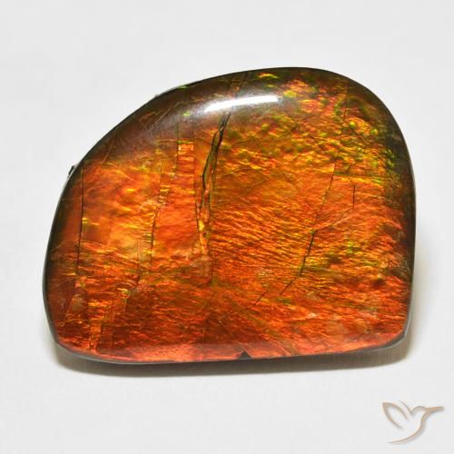 21.11ct Naturel Multicolore Ammolite, Fantaisie, Opaque