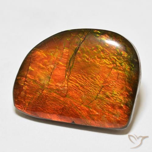 Ammolite Multicolore naturelle Fantaisie, 21.11 ct, Opaque