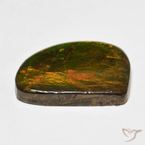 Ammolite Multicolore naturelle Fantaisie, 21.11 ct, Opaque