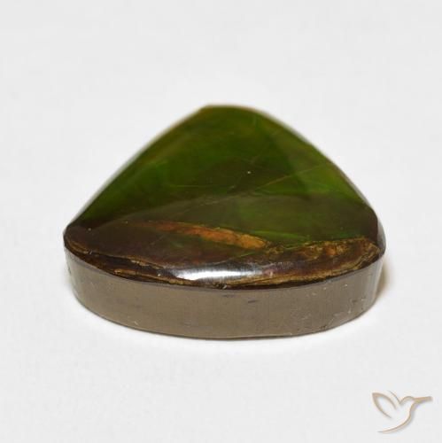 Ammolite Multicolore naturelle Trillion, 10.86 ct, Opaque
