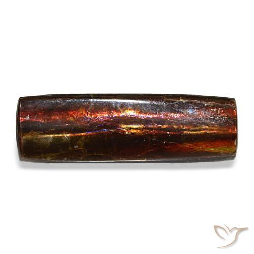 Ammolite multicolore de 4,55 ct, baguette, opaque