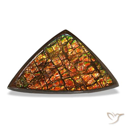 Ammolite multicolore naturelle trillion, 6,33 ct, opaque