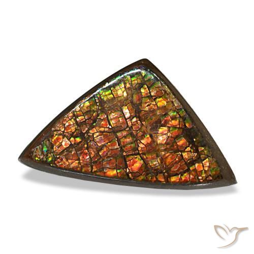 Ammolite multicolore naturelle trillion, 6,33 ct, opaque