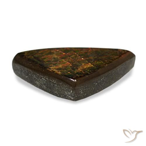 Ammolite multicolore naturelle trillion, 6,33 ct, opaque