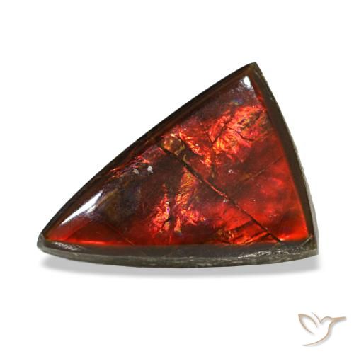 Ammolite multicolore de 3,12 ct, trillion, transparent